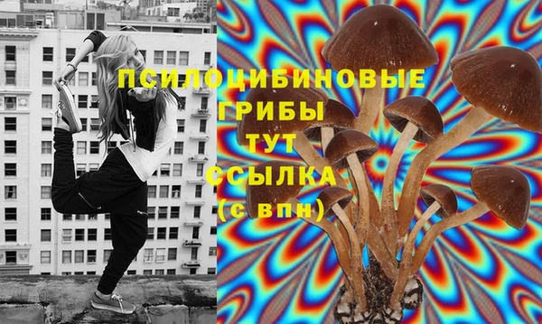 круглые Арсеньев